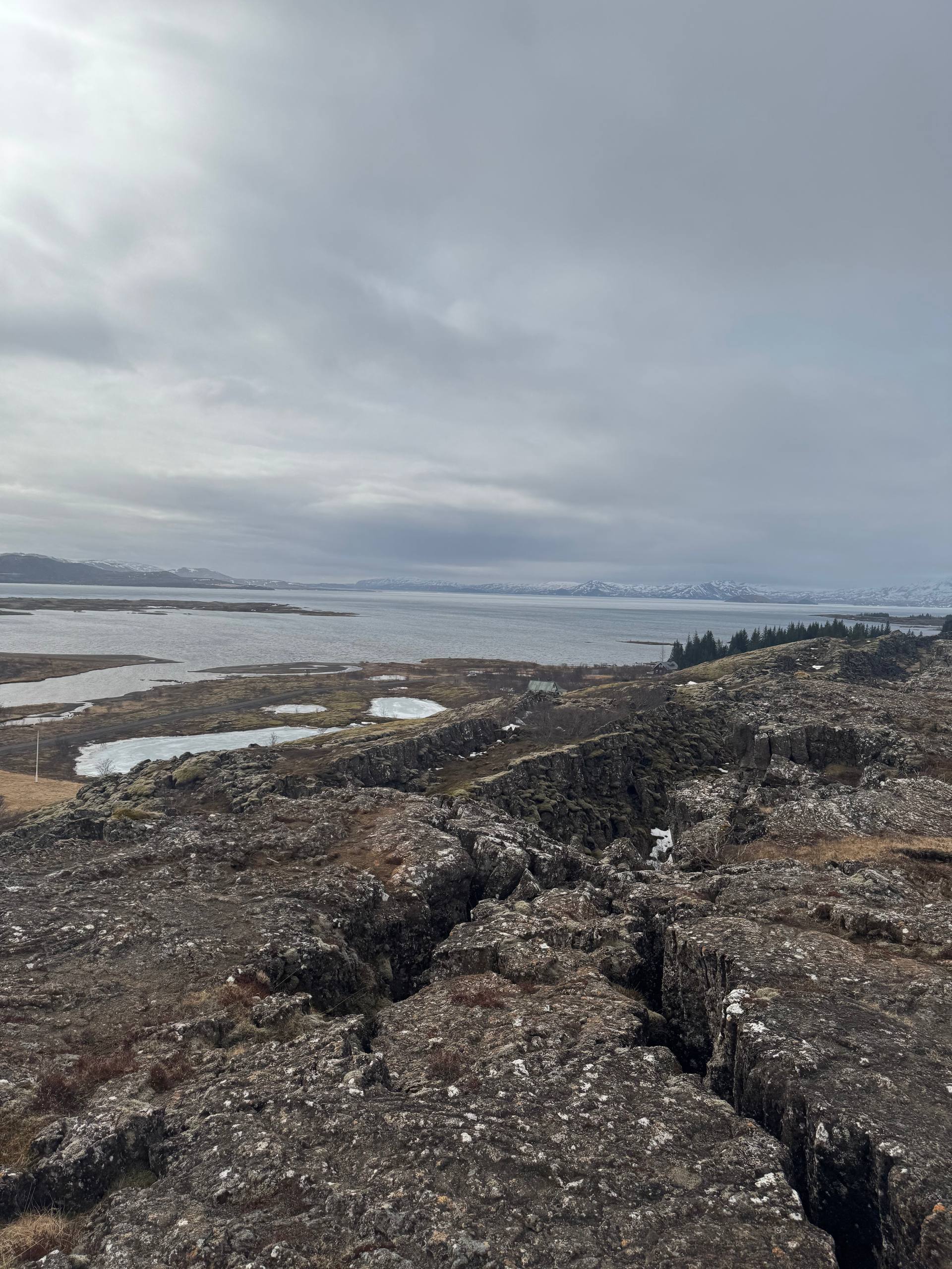 View over Lake Þingvallavatn with dramatic rift formations and rocky terrain during a Day Trips From Reykjavik tour with our agency