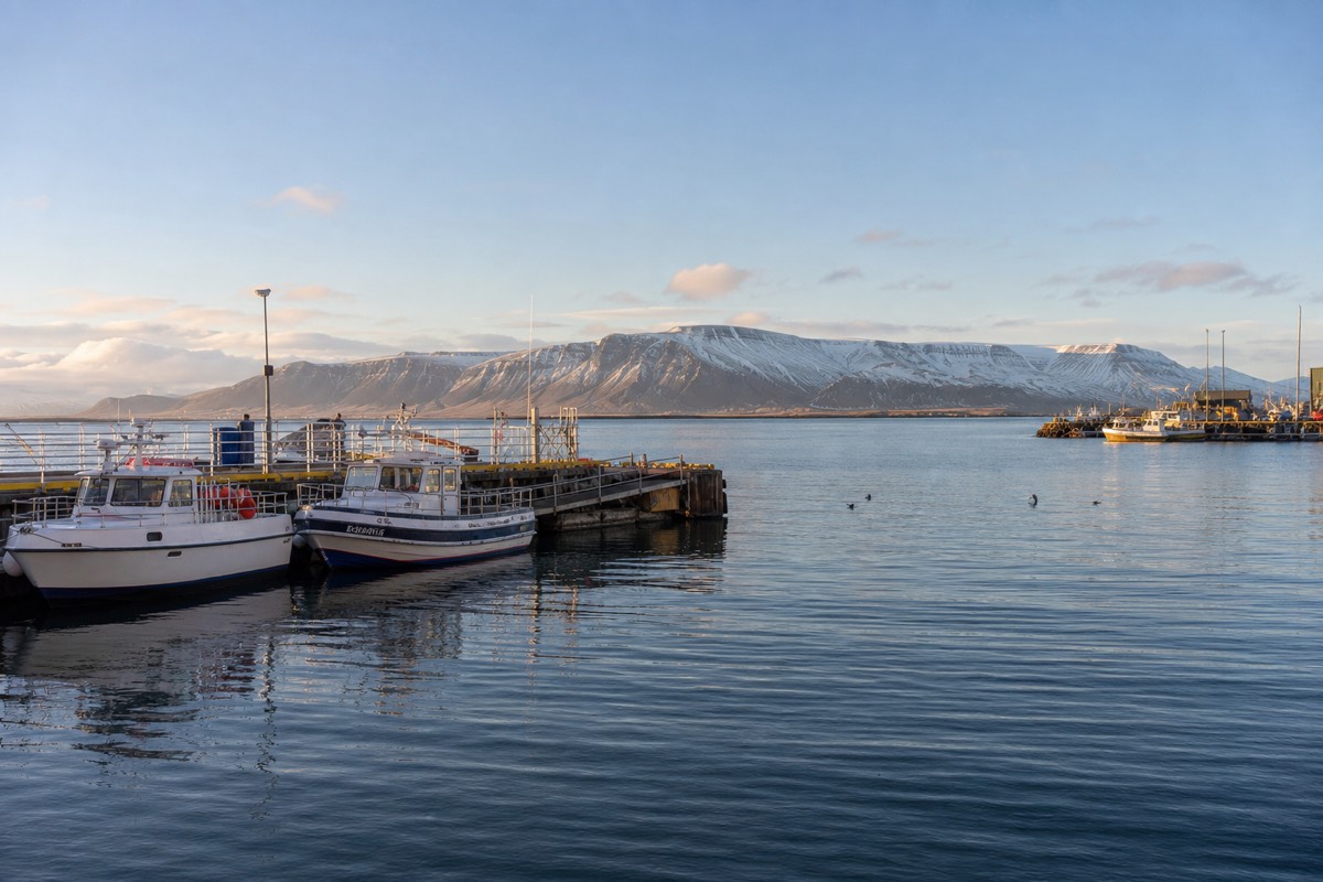 A short coastal excursion leaving Reykjavik on a half-day schedule