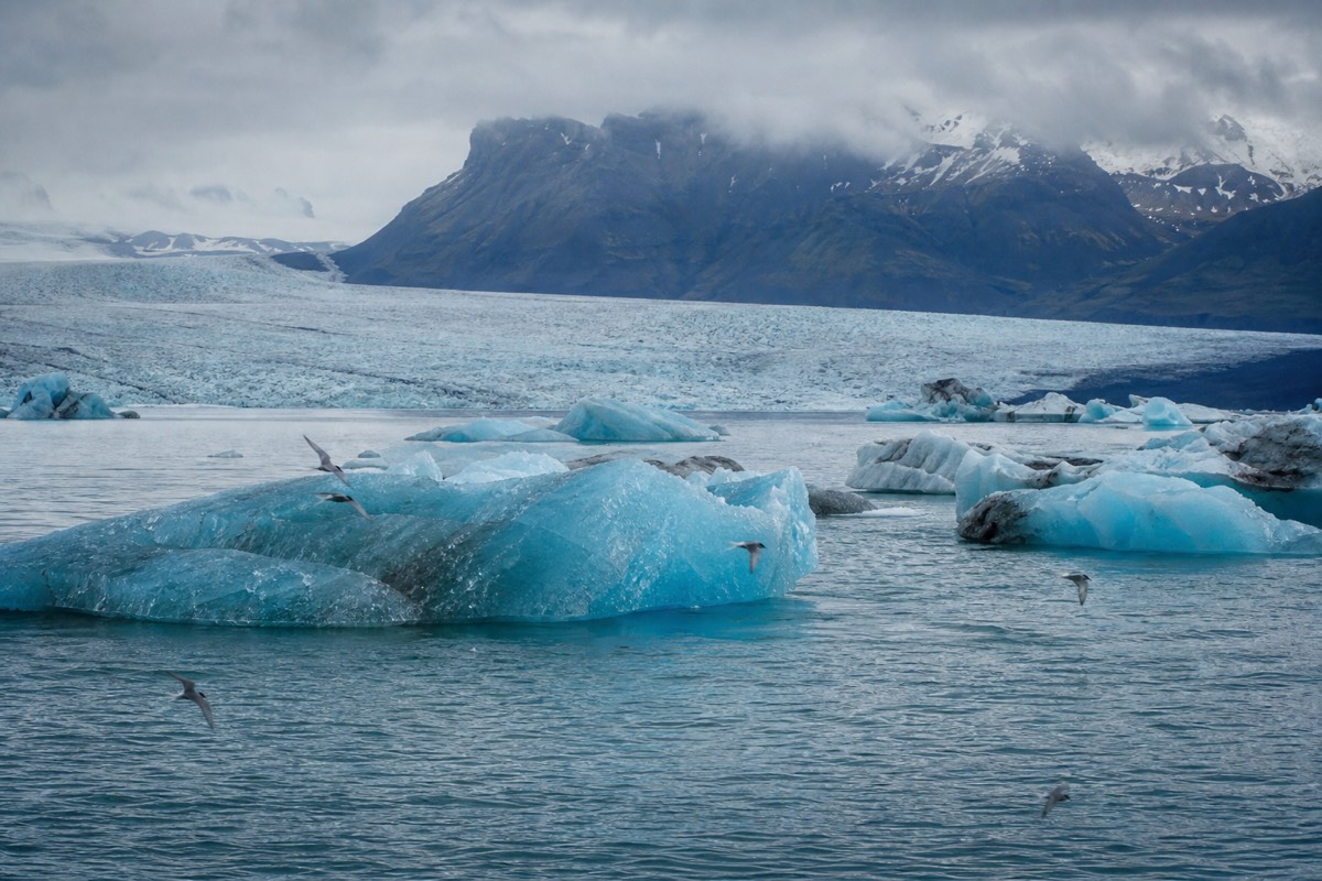 Icebergs drifting across Jökulsárlón glacier lagoon in southeast Iceland