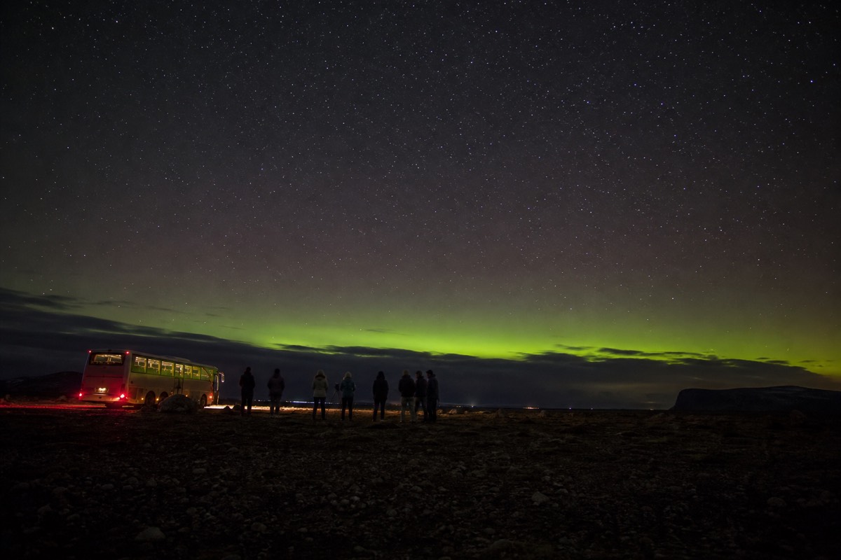 A tour group standing under a cloudy night sky outside Reykjavik waiting for the aurora