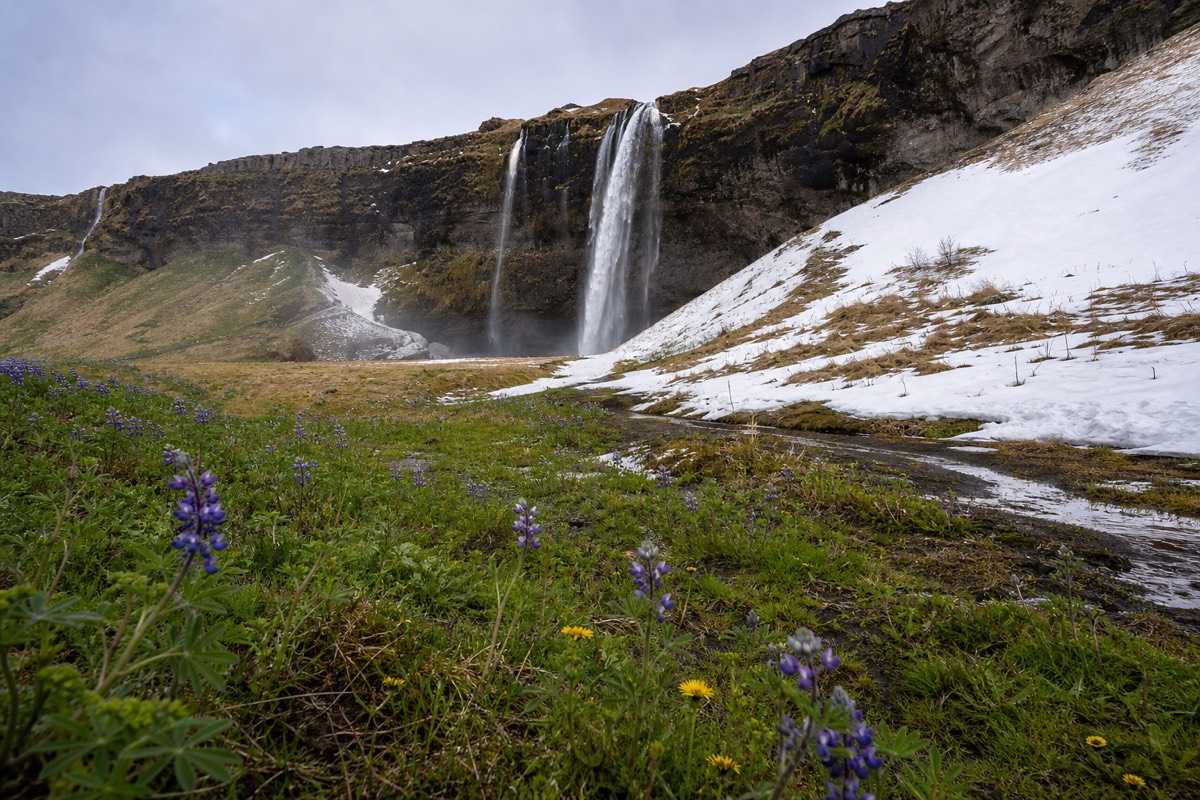 Autumn light over a waterfall and moss covered lava on the road out of Reykjavik