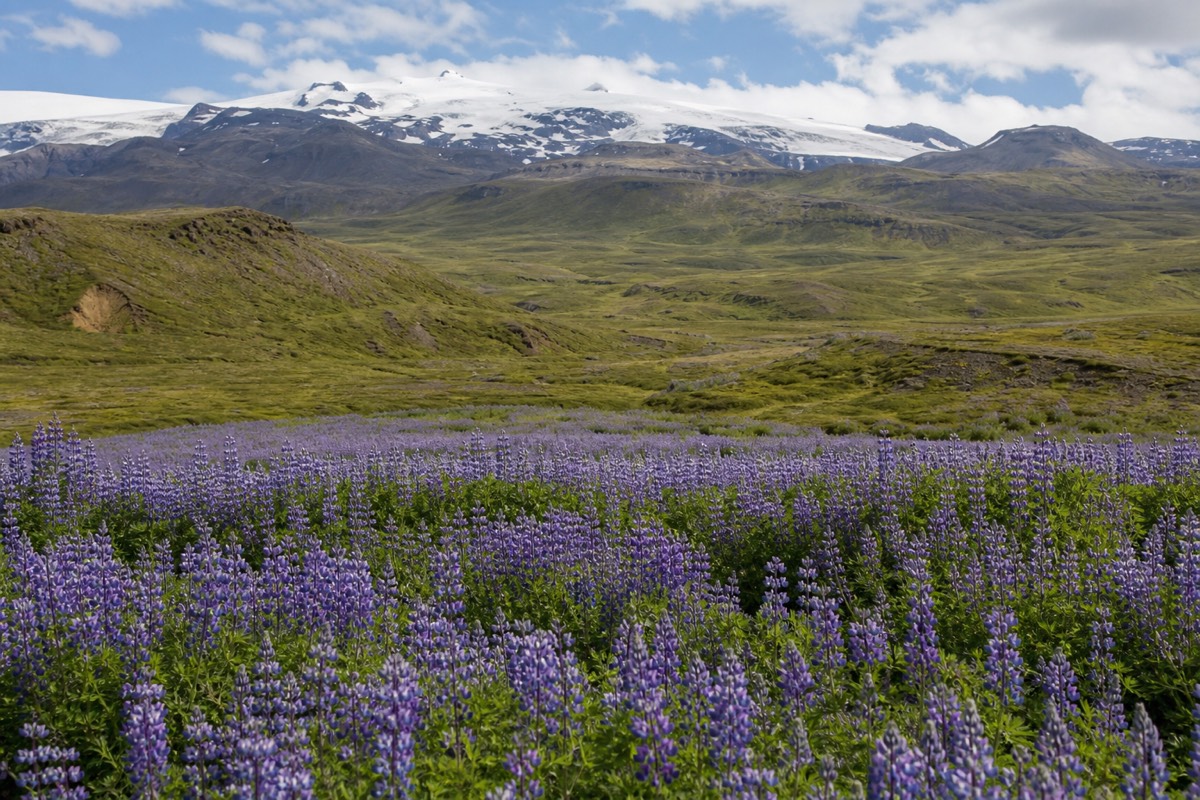 On the road out of Reykjavik, Iceland